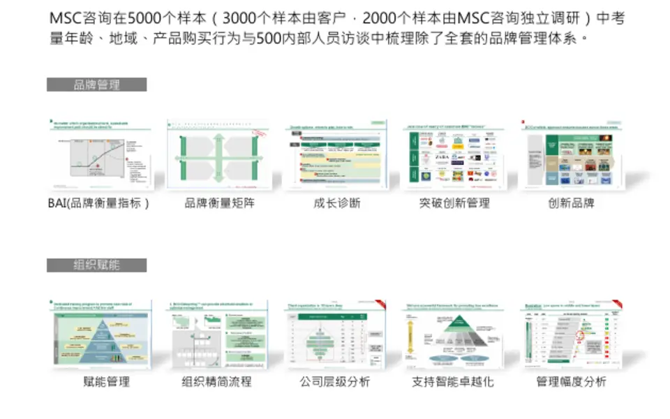 中国人寿集团品牌管理与治理体系